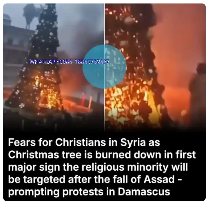 Christmas tree catches fire in Damascus