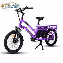 Practical Light Duty 48V30ah Dual Battery Takeaway Meal Delivery Vehicle Electric Moped WLS