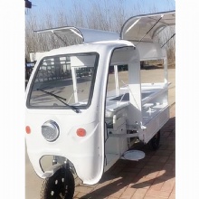 Hot Sale Customizable Colors Gull Wing Gate Food Stand Electric Tricycle YRF Food Cart