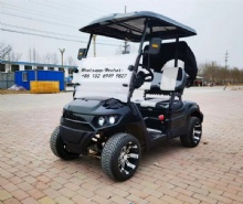 2024 new factory direct sales 2-seater new golf cart powerful 4-wheel electric golf cart