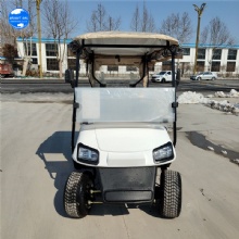 Specially customized golf cart with on-board ball washer and stem washer with refrigerator 2-seat electric golf cart