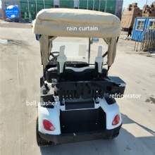 Specially customized golf cart with on-board ball washer and stem washer with refrigerator 2-seat electric golf cart