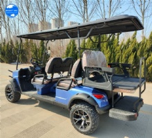 Newly designed professionally customized adjustable 6-seat electric golf cart