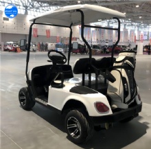 Customizable 2-Seater Latest Model Electric Golf Cart