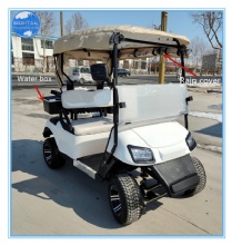 Customizable 2-Seater Latest Model Electric Golf Cart With a water box for sale