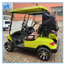 2-Seater Latest Model Electric Golf Cart With Rear Basket