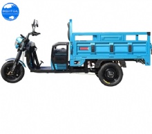 Three Wheel Electric Tricycle for Adult Three Wheels Triciclo Electrico Cargo Freight Electric Tricycle Cargo Electric Tricycles Three Wheel Electric Tricycle
