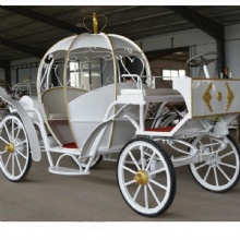 Newest Wedding and Sightseeing Electric Horse Carriages for Sale