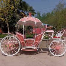 European Historical Sightseeing Horse Drawn Carriage