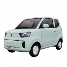 New design new energy electric car four wheel car low speed electric car adult mini car