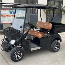 New design 4 Seaters 2 Passenger with Rear Cargo Bed Electric Utility Golf Buggy