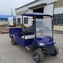 4 Seaters 2 Passenger with Rear Cargo Bed  5kw Motor Electric Utility Golf Buggy