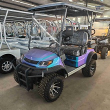 Free Customized Colors 6 Passengers Electric Hotel Golf Buggy