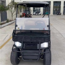 Mini Truck 2 Seats Customized Golf Cart with Rear Cargo Box Electric Golf Cart