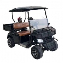 Electric Powered Utility Golf Cart 2 Passenger with Rear Cargo Bed