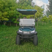 Buggy Off Road 4 Wheel Lithium Battery  Electric 4 Passengers Golf Cart