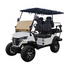 Luxury Golf Cart 6 Seater Electric Golf Cart Garden Customised Golf Carts Custom Made 220V Electric Golf Cart