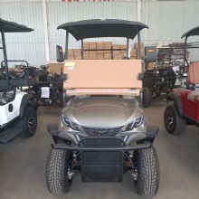 2024 Best Selling High Quality 4 Wheel Golf Cart 2 Seat Golf Cart