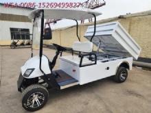 New Design Electric Golf Cart with Cargo Box Buggy