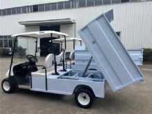 New Design Electric Golf Cart with Cargo Box Buggy