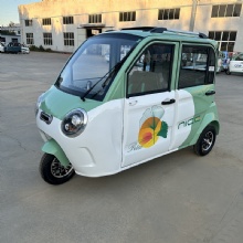 2024 Hot Sale New Cheap Fully Enclosed Convertible Large Space Adult Electric Tricycles