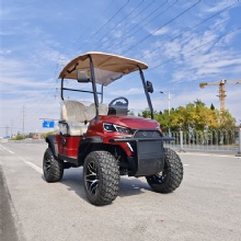 2 Seats Golf Cart with 48V Lithium Battery Hunting Cart