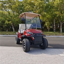 HKBG Sightseeing Golf Wholesale 2 Seater Golf Cart