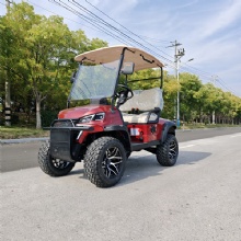 2-Seater Mini Electric Cars Scooters Bus Golf Cart