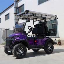 Solar panels golf cart Customization Factory Direct saleupgrade Golf Buggy Electric Golf Cart