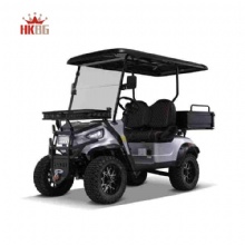 2025 New Style Customized 2 Seats Top Quality HKBG Golf Cargo Cart