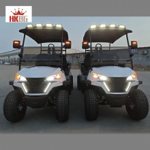 Factory Wholesale Prices 2 Seater Utility Electric Club Car HKBG Golf Cart Bugyy With Cargo Box